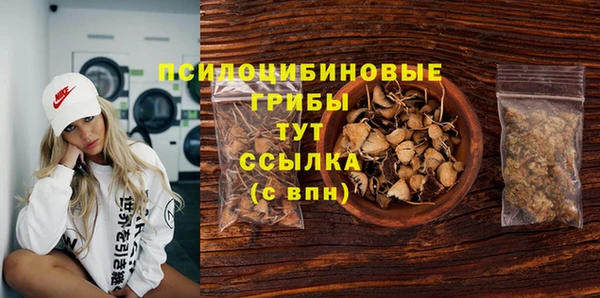 дживик Армянск