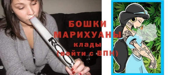 мет Арсеньев
